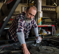 lexotic Motor Specialist