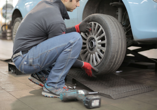 lexotic Motor Specialist