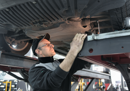 lexotic Motor Specialist