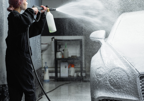 lexotic Motor Specialist