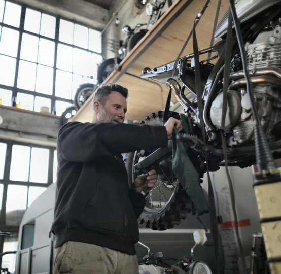 lexotic Motor Specialist