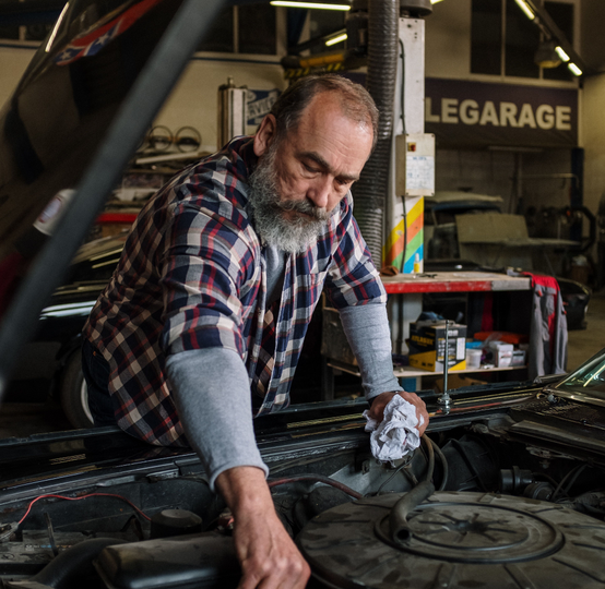 lexotic Motor Specialist