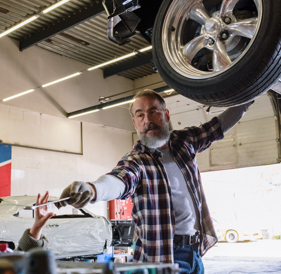 lexotic Motor Specialist