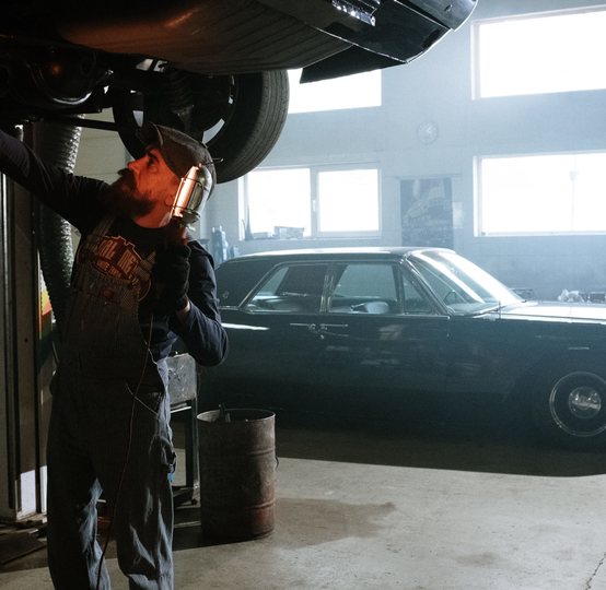 lexotic Motor Specialist
