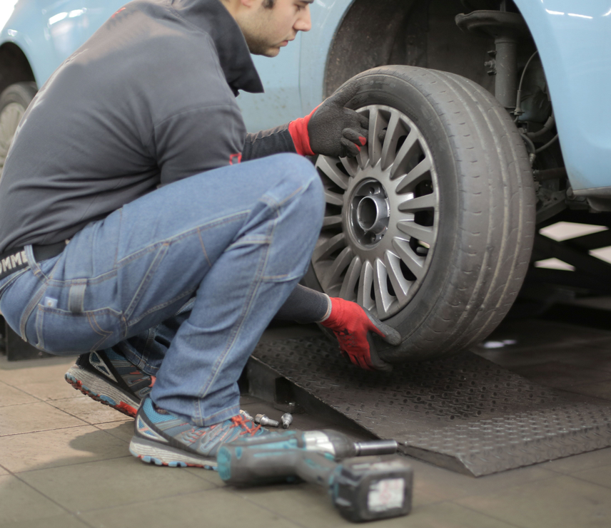 lexotic Motor Specialist