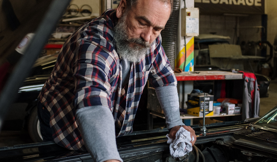 lexotic Motor Specialist